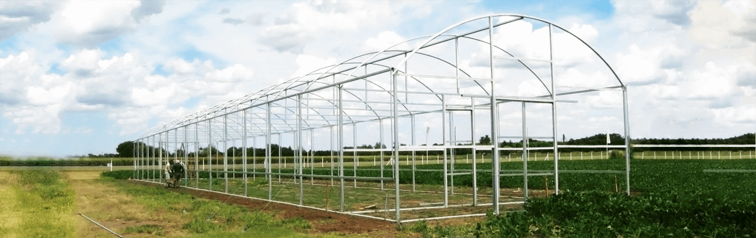 #htmlcaption-0 UMA-AGRO / PRODUCTIVIDAD Y RENTABILIDAD